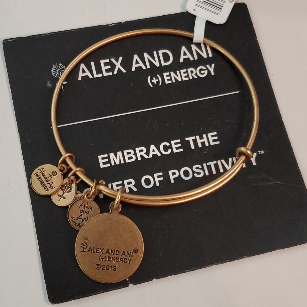 Alex and Ani Inital Letter U Goldtone Bracelet - Picture 4 of 6